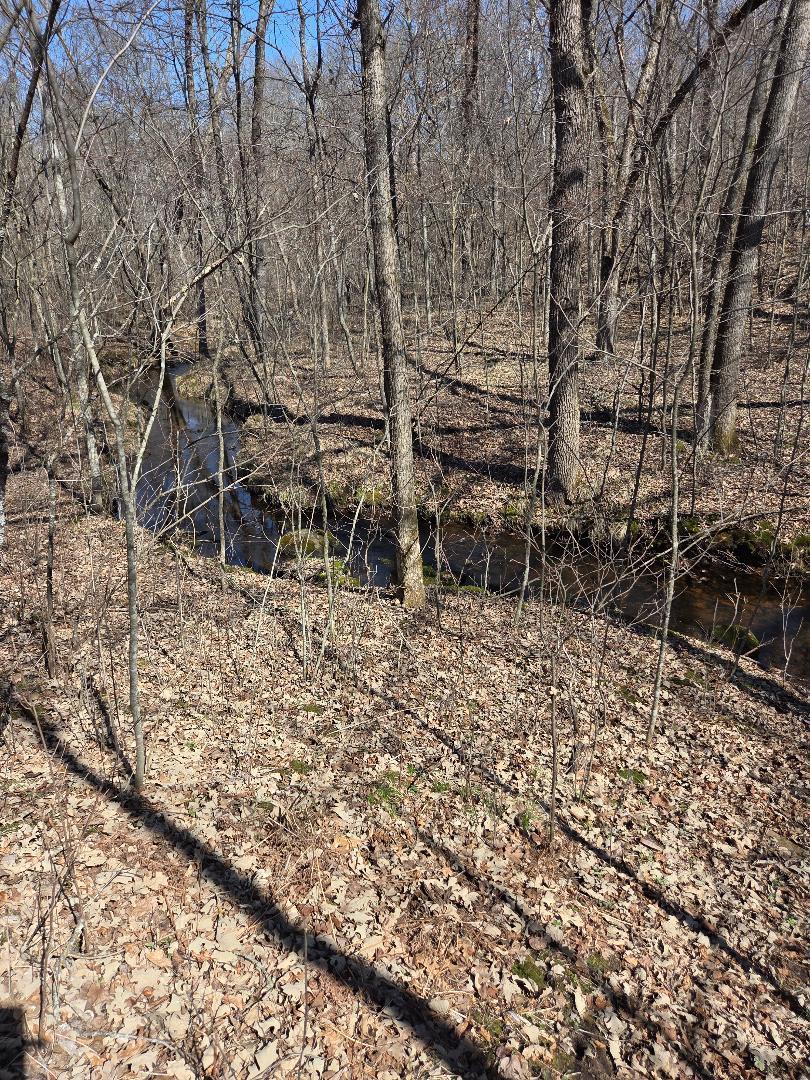 51948 River Road Rush City, MN 55069 - Photo 14 of 15