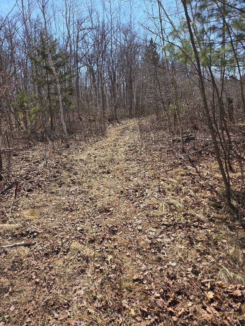 51948 River Road Rush City, MN 55069 - Photo 15 of 15