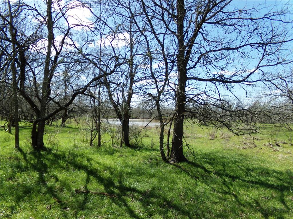 0 Fm 619 Elgin, TX 78621 - Photo 12 of 26