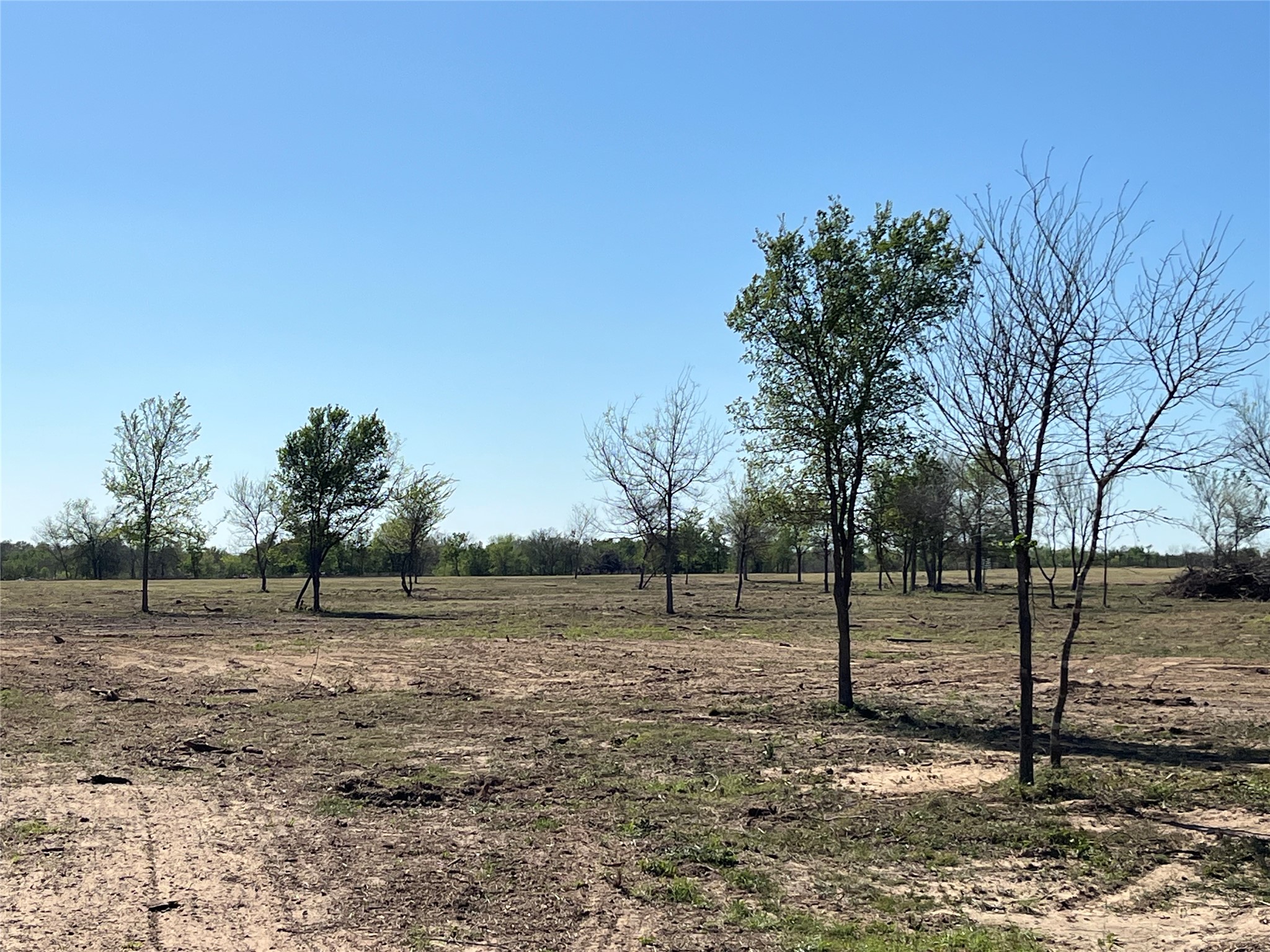 0 Fm 619 Elgin, TX 78621 - Photo 13 of 26 View of yard featuring a rural view