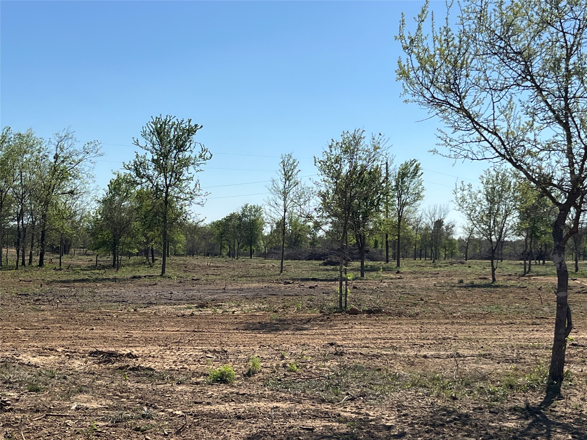 0 Fm 619 Elgin, TX 78621 - Photo 14 of 26 View of yard