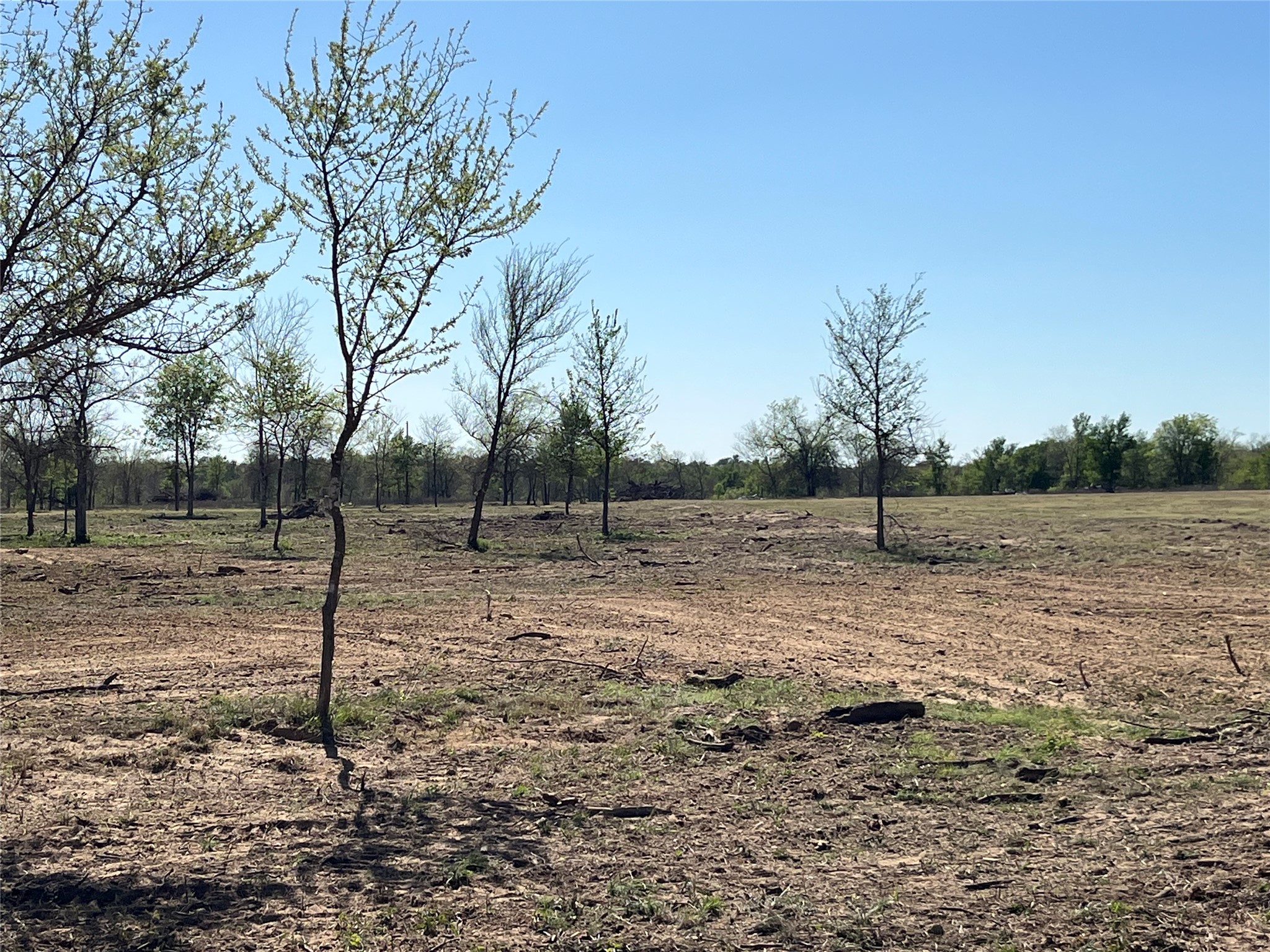 0 Fm 619 Elgin, TX 78621 - Photo 15 of 26 View of yard with a view of countryside