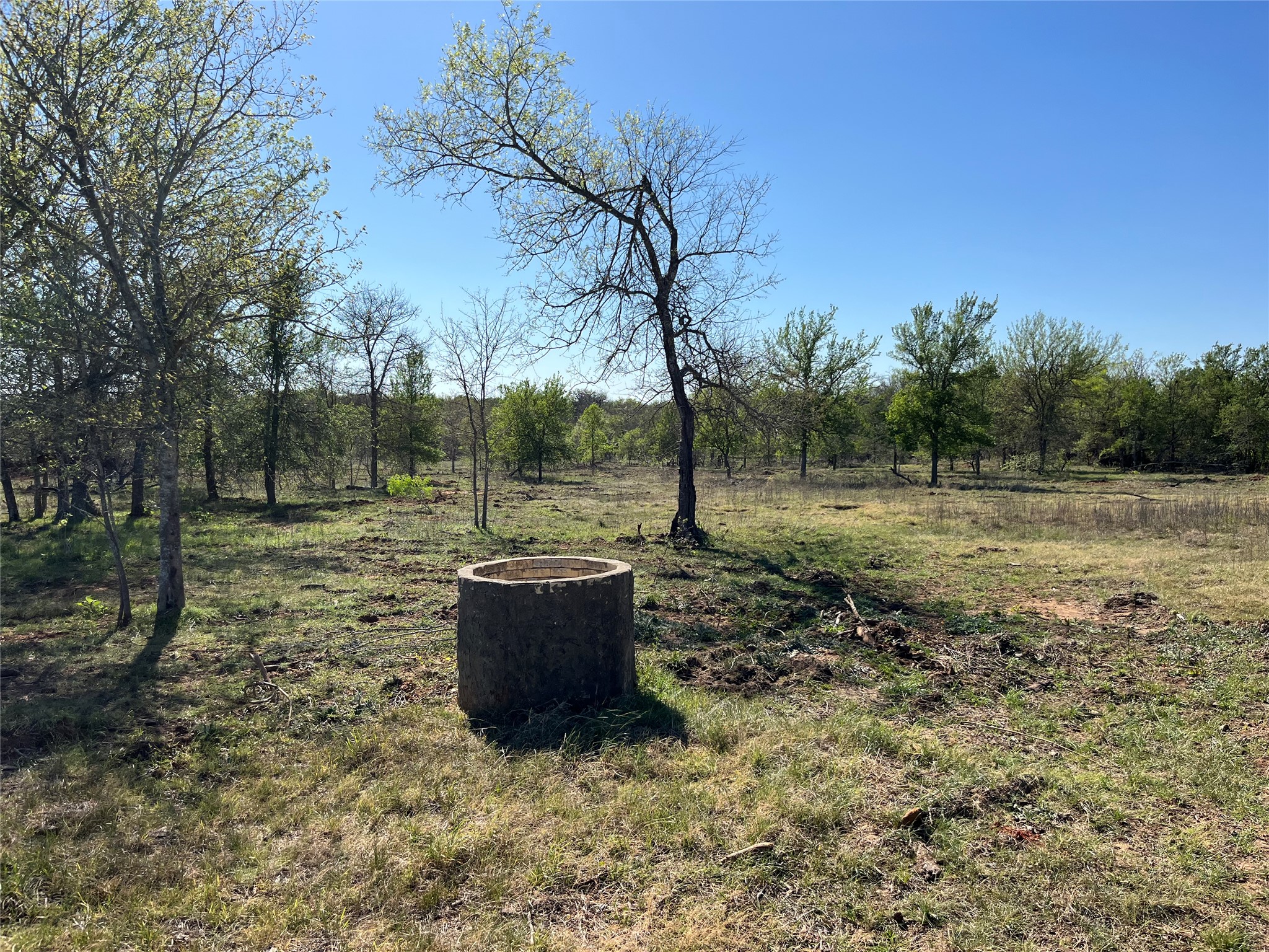 0 Fm 619 Elgin, TX 78621 - Photo 20 of 26 View of yard