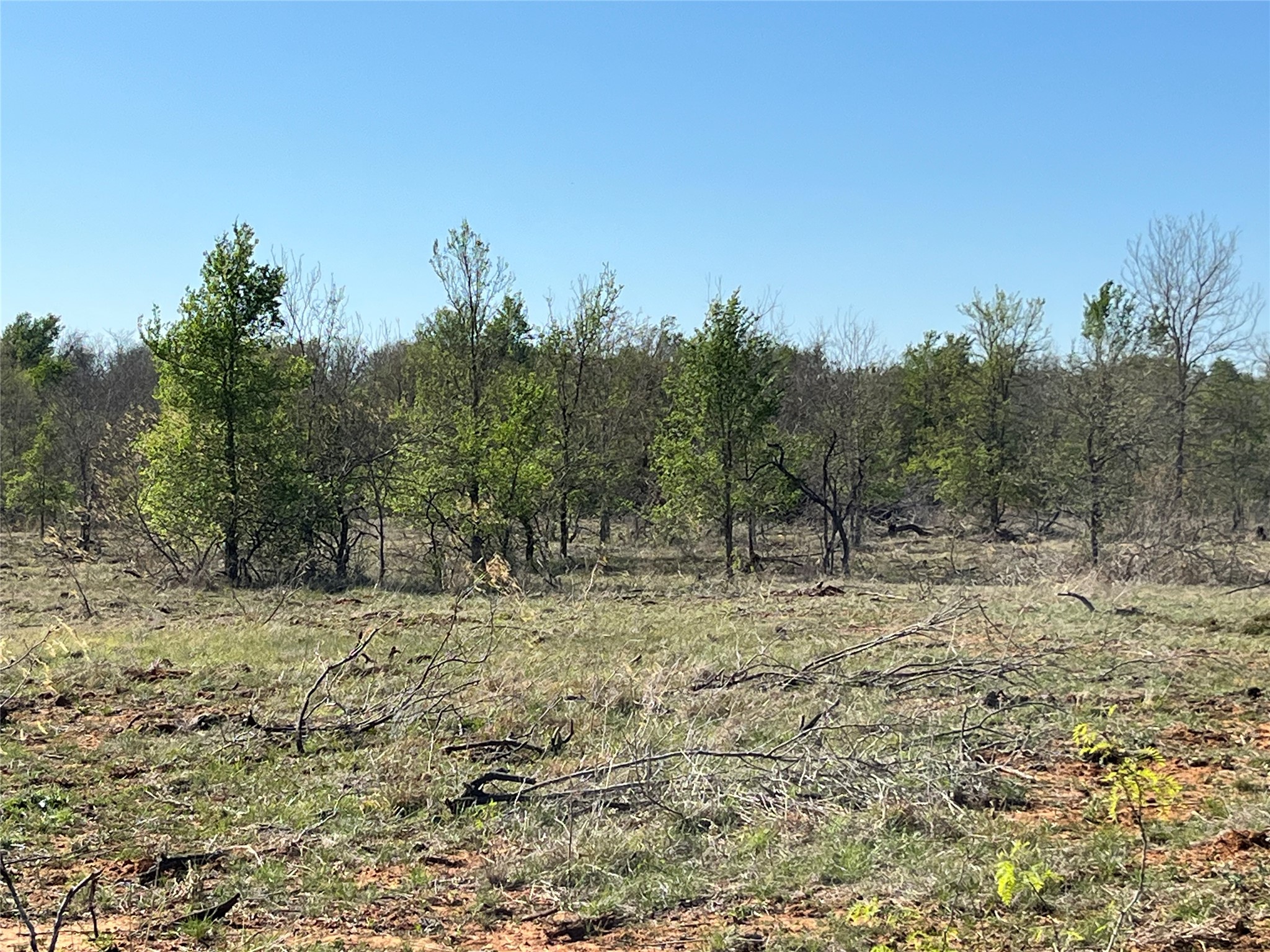 0 Fm 619 Elgin, TX 78621 - Photo 23 of 26 View of undeveloped land