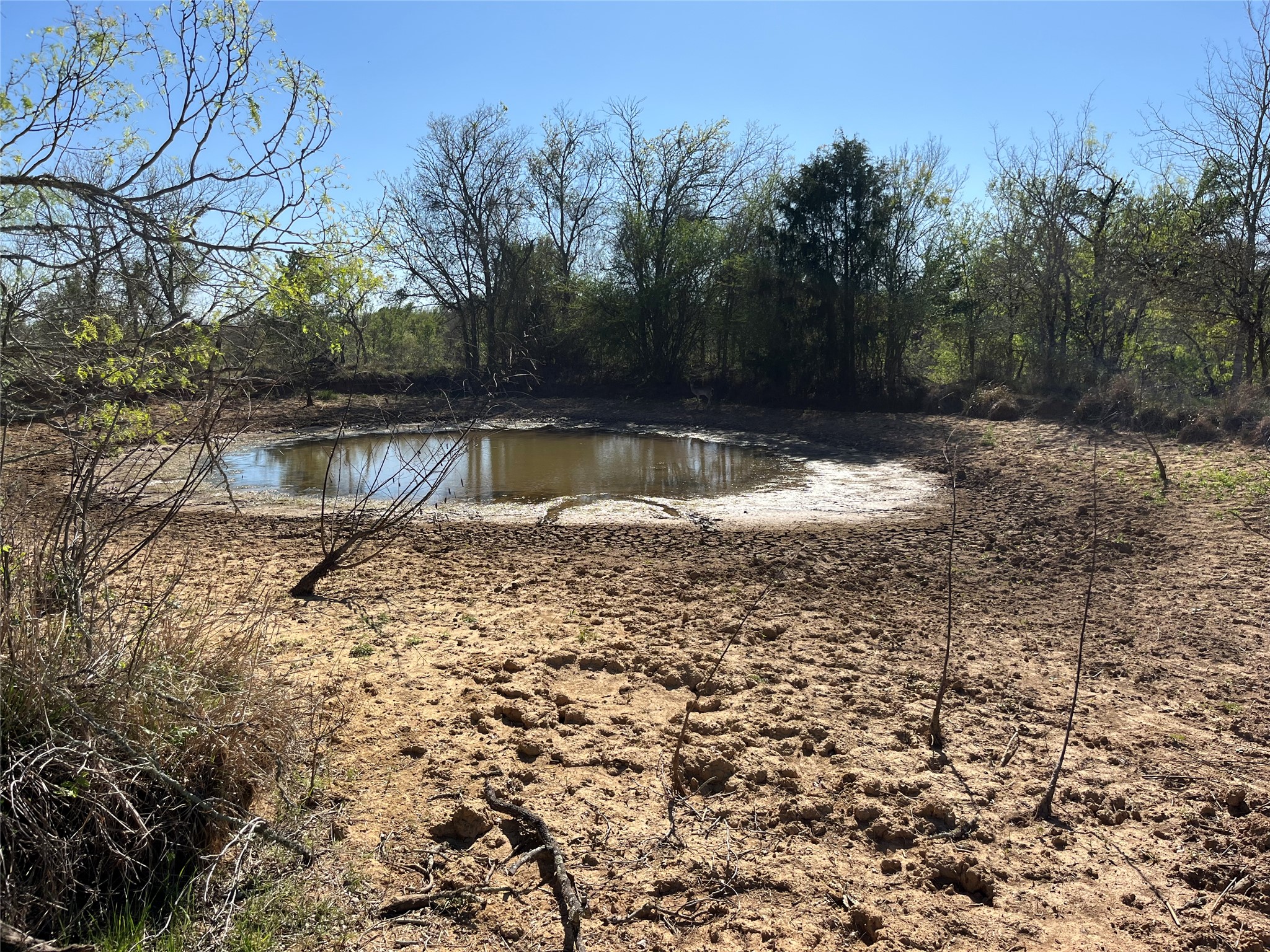 0 Fm 619 Elgin, TX 78621 - Photo 26 of 26 Water view