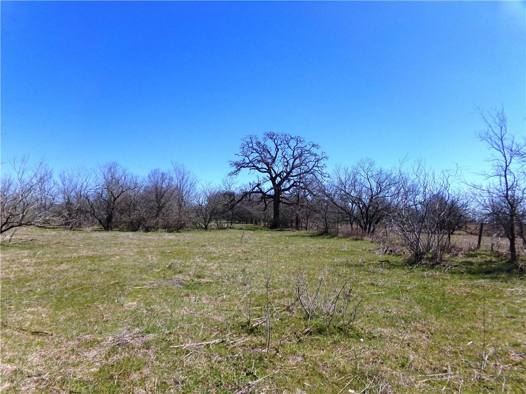 0 Fm 619 Elgin, TX 78621 - Photo 4 of 26