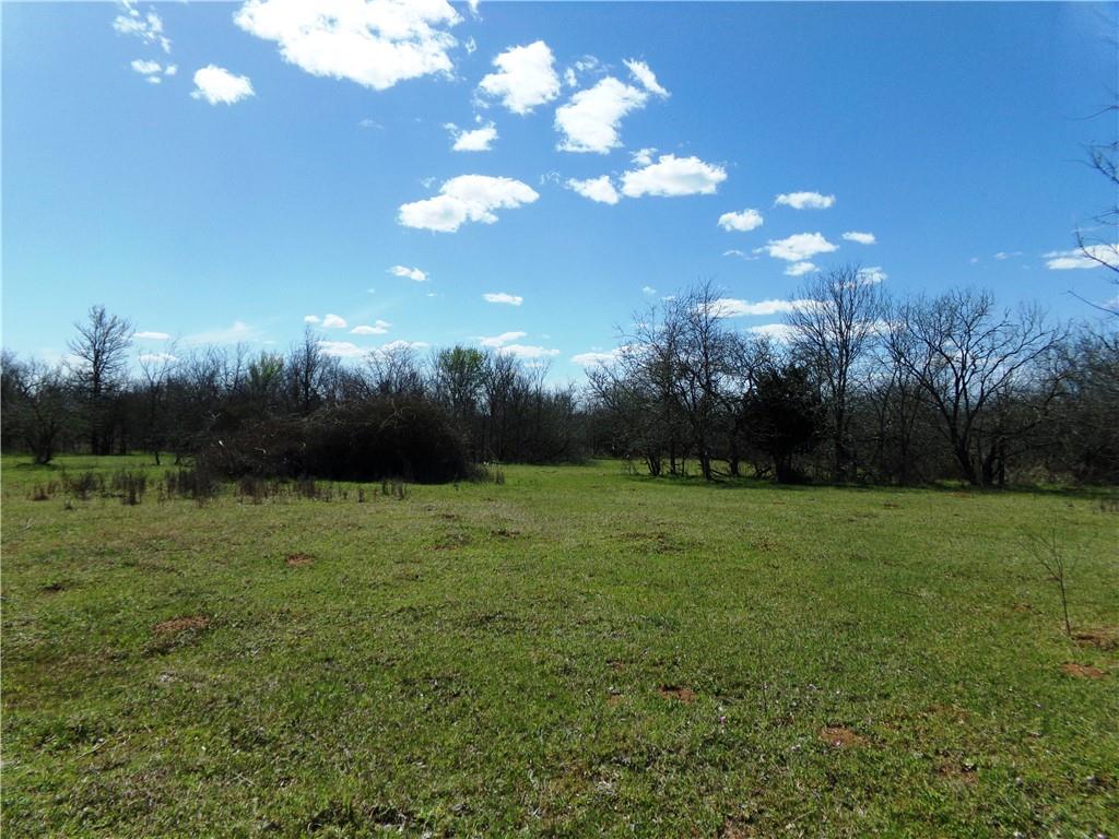 0 Fm 619 Elgin, TX 78621 - Photo 6 of 26