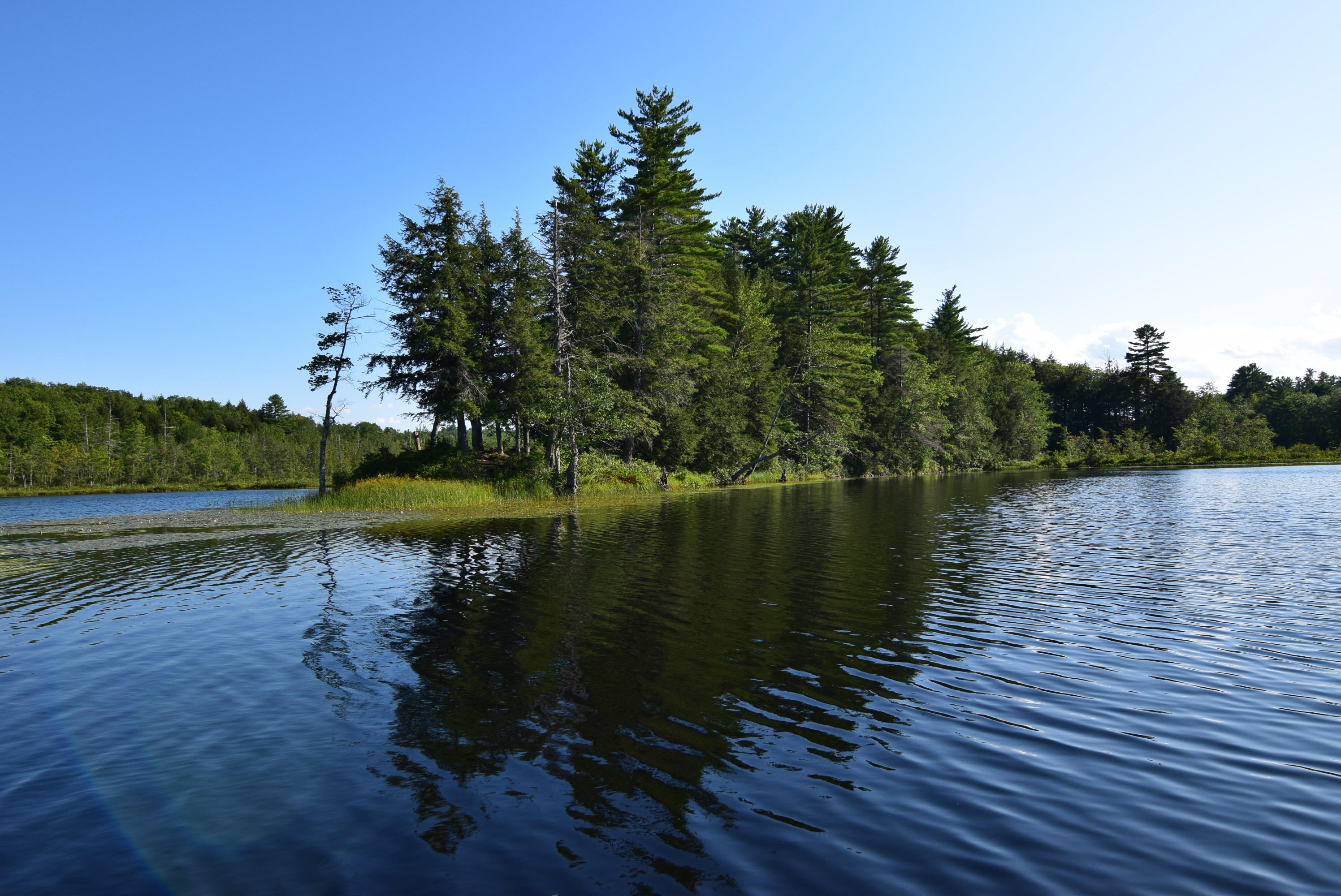 236 Chesterville Ridge Road Kents Hill, ME 04349 - Photo 40 of 41 40-island