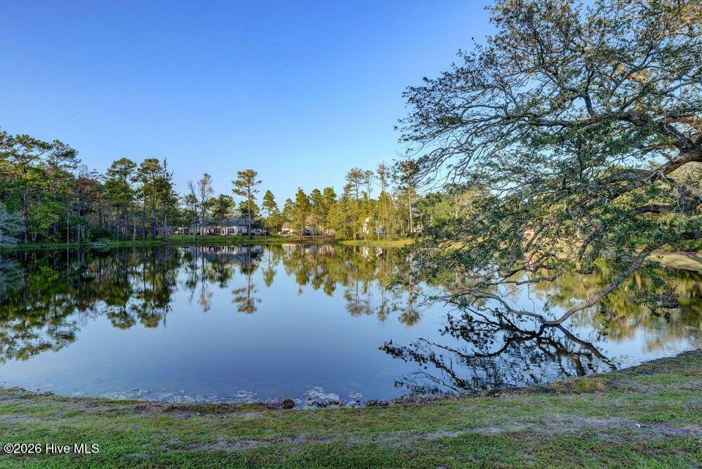 Lot 46 Crown Pointe Drive Hampstead, NC 28443 - Photo 19 of 31 Pond