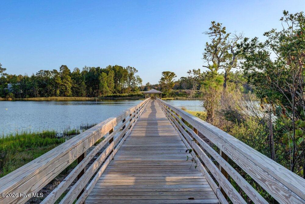 Lot 46 Crown Pointe Drive Hampstead, NC 28443 - Photo 22 of 31 Community Dock