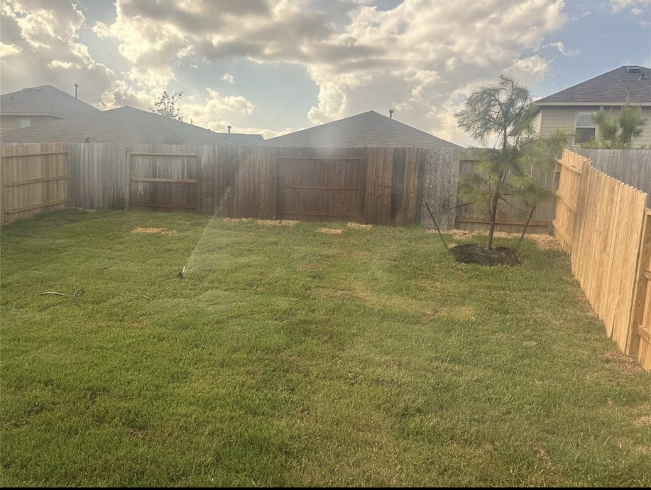 2621 Castille Valley Place Conroe, TX 77301 - Photo 10 of 10 a backyard of a house with lots of green space