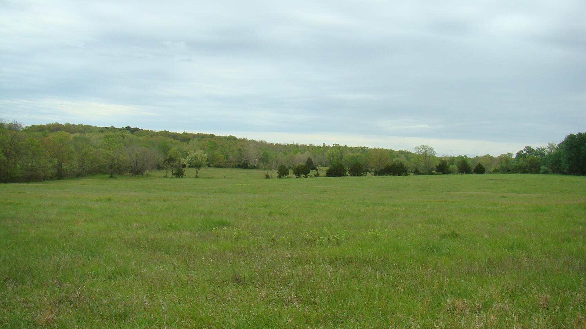 255 Hampton Road Summersville, MO 65571 - Photo 1 of 1 DSC04855