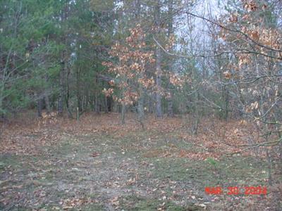 16500 Tamarack Road Howard City, MI 49329 - Photo 2 of 5 Additional Photo