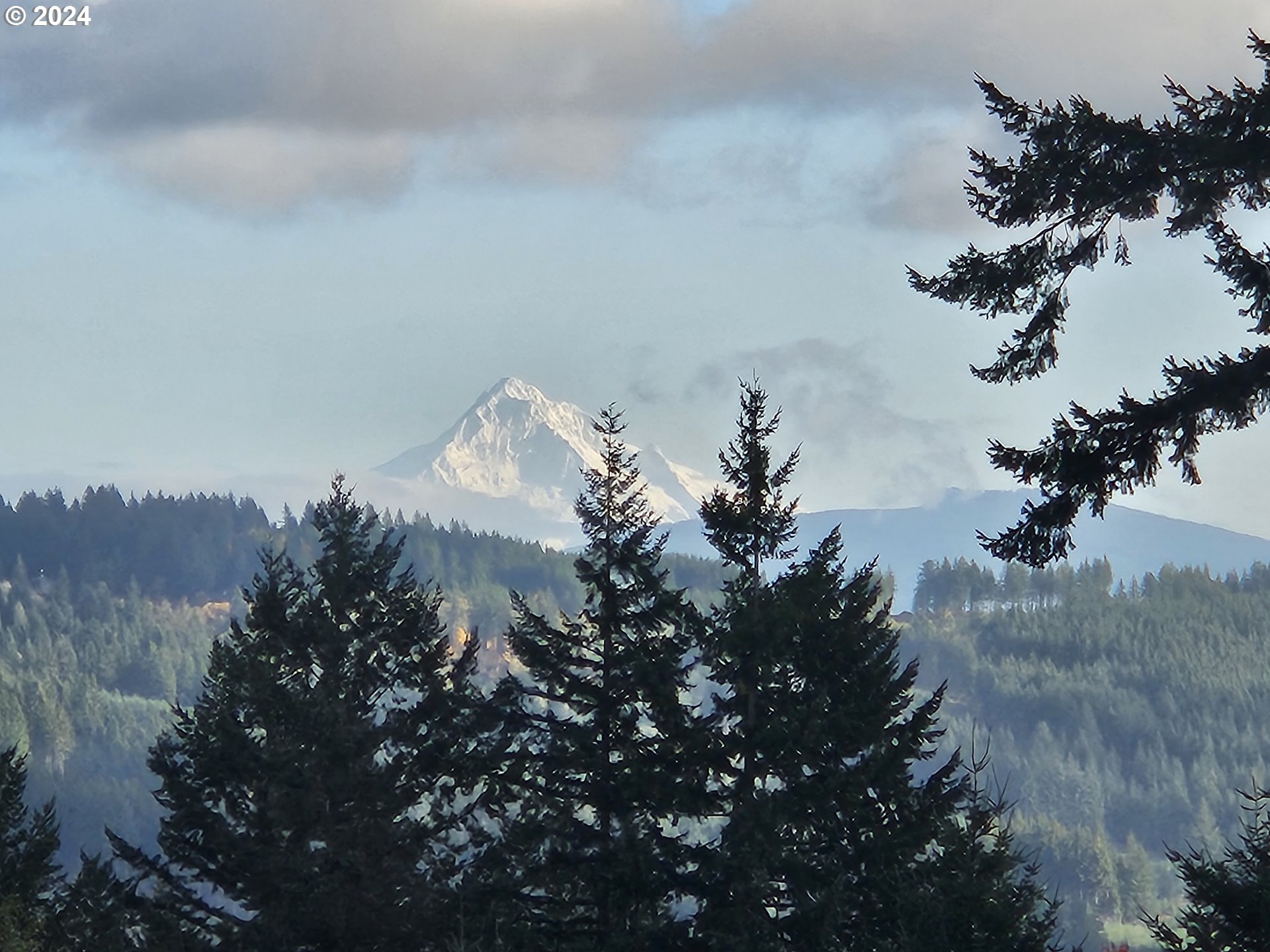 5924 Northeast Lessard Road Camas, WA 98607 - Photo 47 of 48 a view of a lake