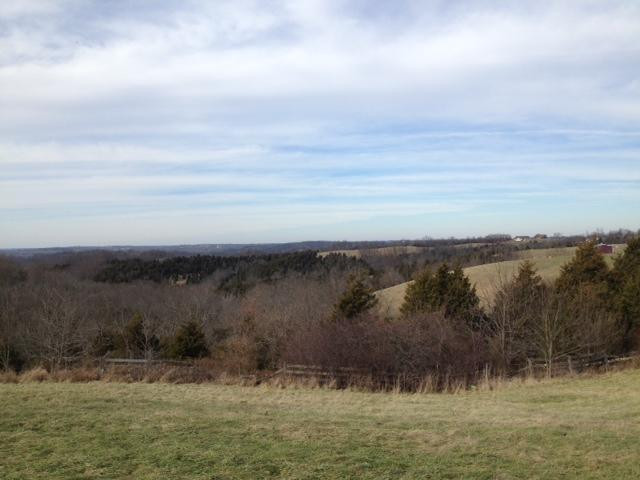 7897 Highway 159 Butler, KY 41006 - Photo 3 of 23 Gallery Image 3