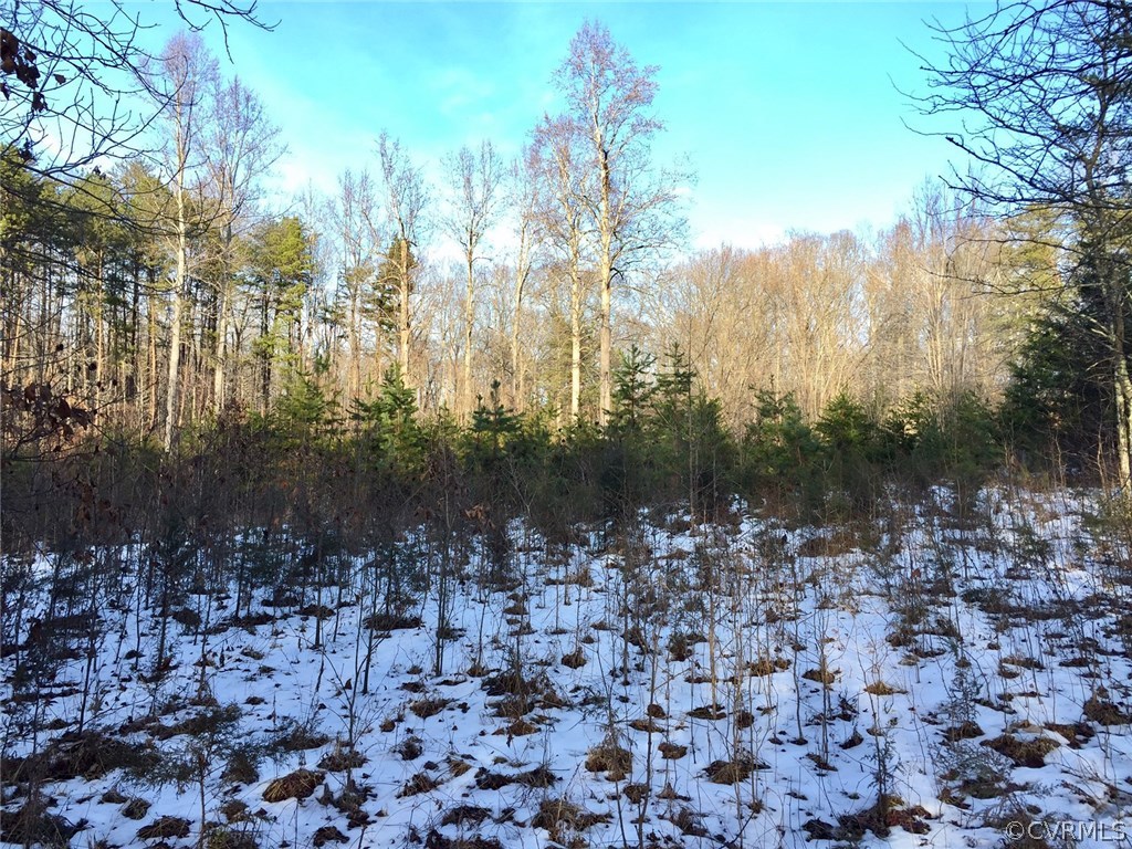 Xx Old Tavern Road Powhatan, VA 23139 - Photo 11 of 15 Gallery Image 11
