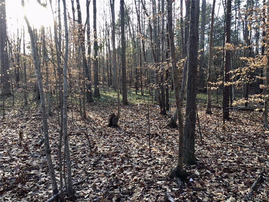 Xx Old Tavern Road Powhatan, VA 23139 - Photo 15 of 15 Gallery Image 15