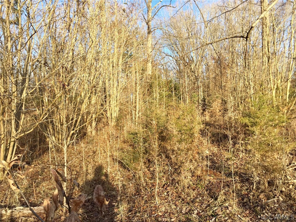 Xx Old Tavern Road Powhatan, VA 23139 - Photo 9 of 15 Gallery Image 9