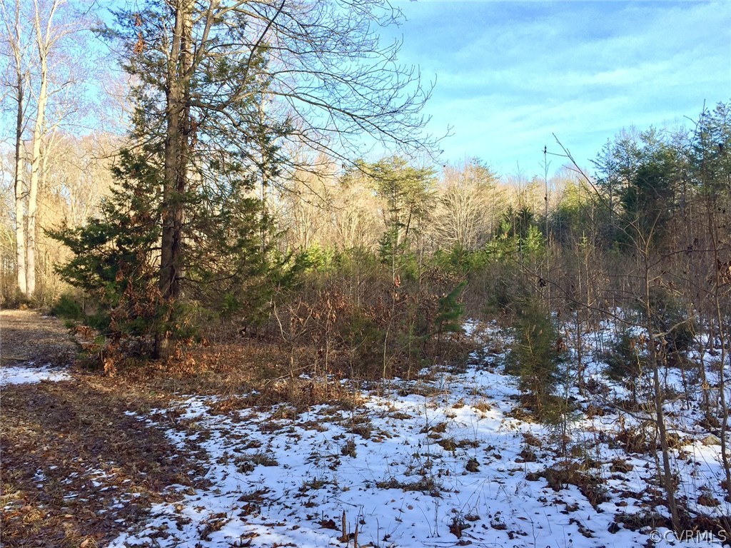 Xx Old Tavern Road Powhatan, VA 23139 - Photo 10 of 15 Gallery Image 10