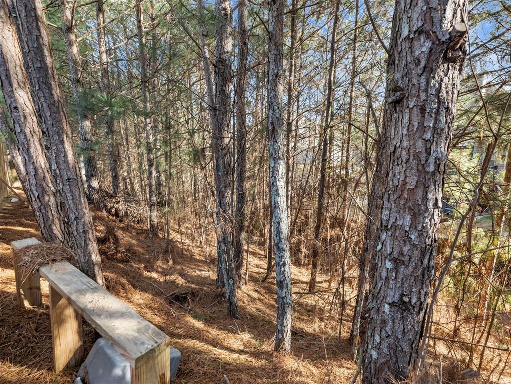 2939 Estate View Court Dacula, GA 30019 - Photo 66 of 73