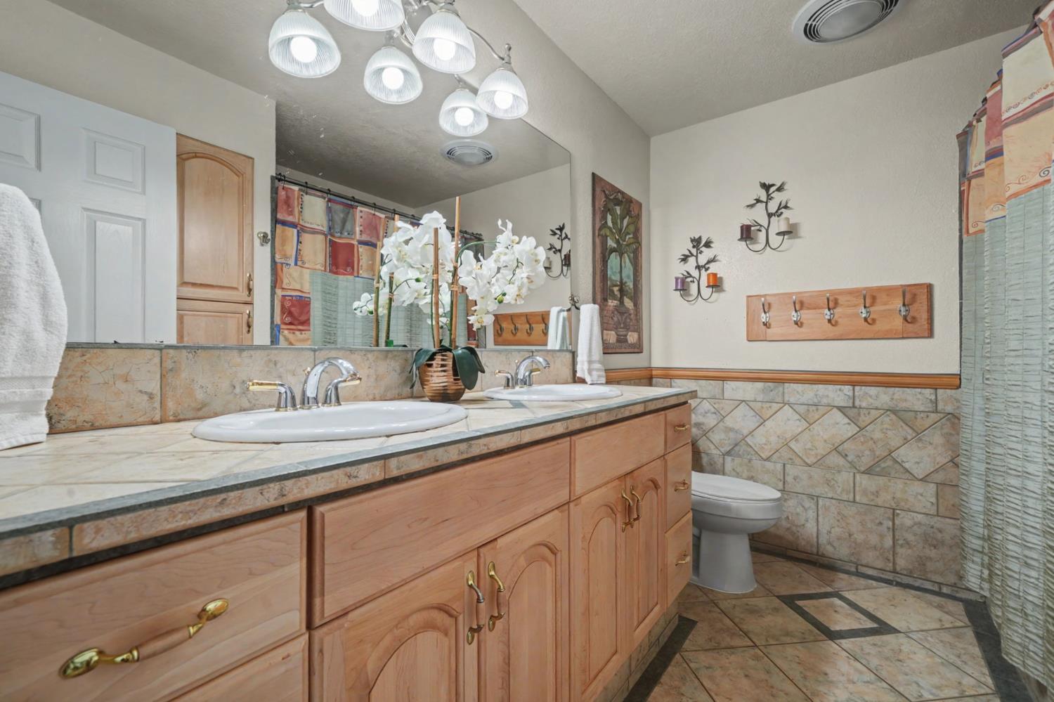 450 Lakeview Road Copperopolis, CA 95228 - Photo 75 of 93 a bathroom with a granite countertop sink mirror vanity and toilet