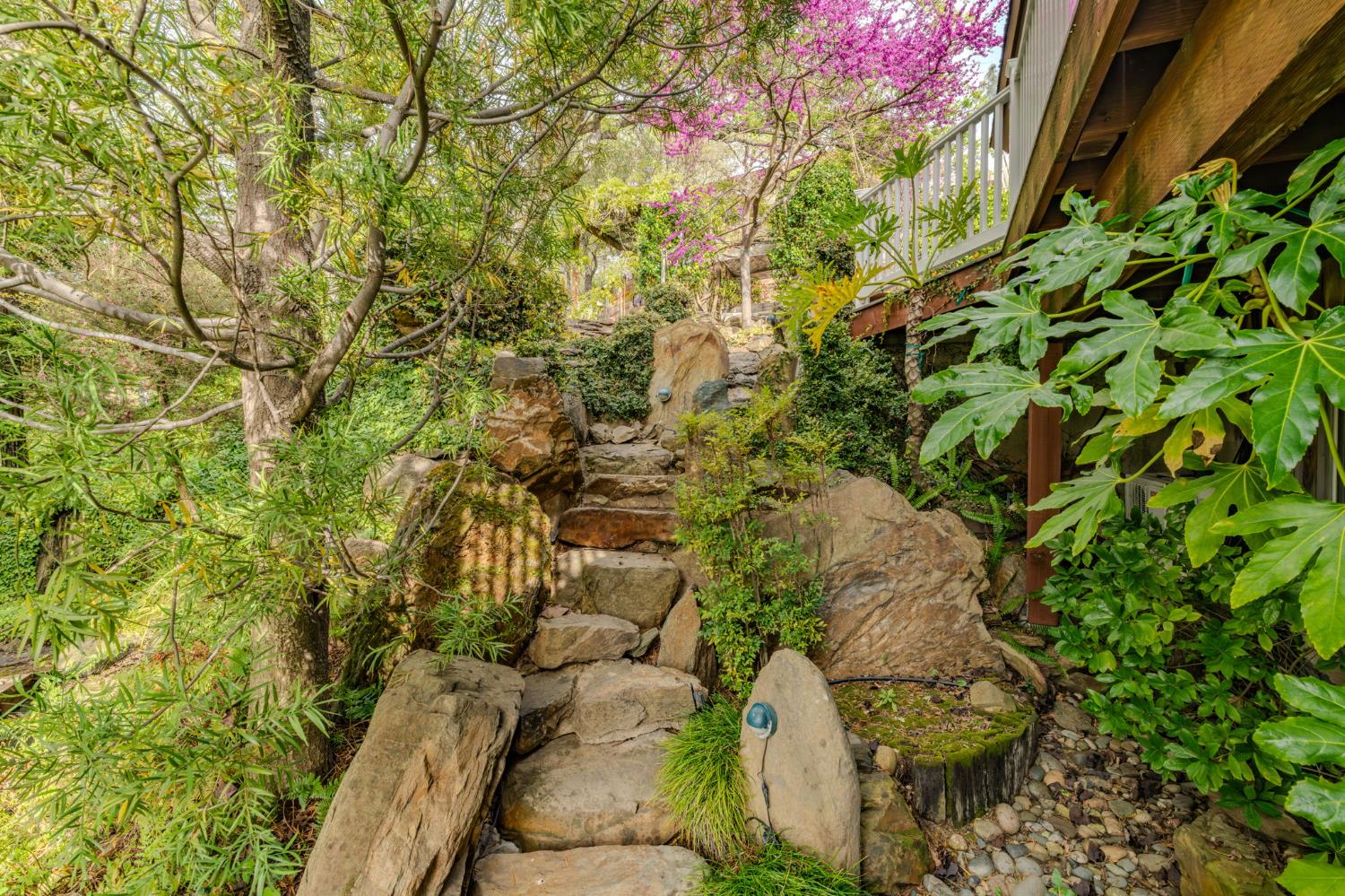 450 Lakeview Road Copperopolis, CA 95228 - Photo 83 of 93 a view of a yard with plants and large trees