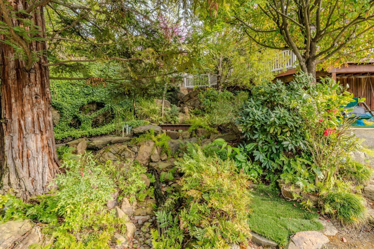 450 Lakeview Road Copperopolis, CA 95228 - Photo 88 of 93 a view of a yard with plants and large trees