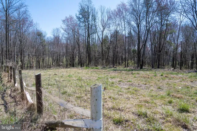 a view of outdoor space with trees