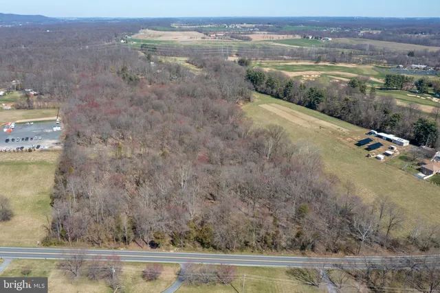 a view of a yard with trees