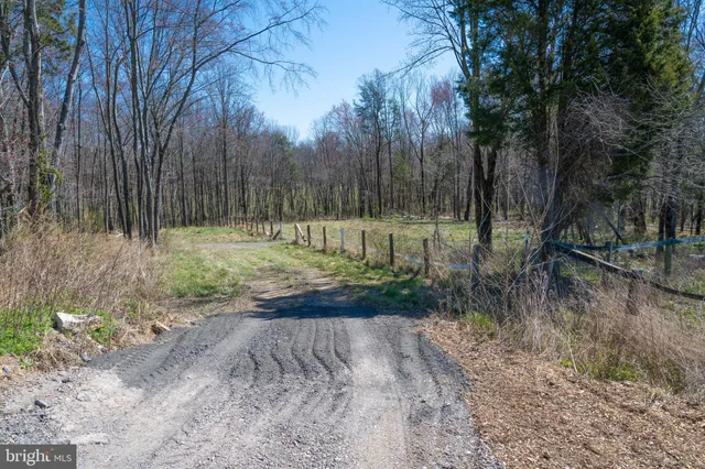 a view of backyard with large trees and wooden fence