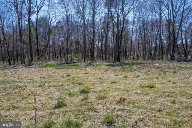 a view of outdoor space with trees