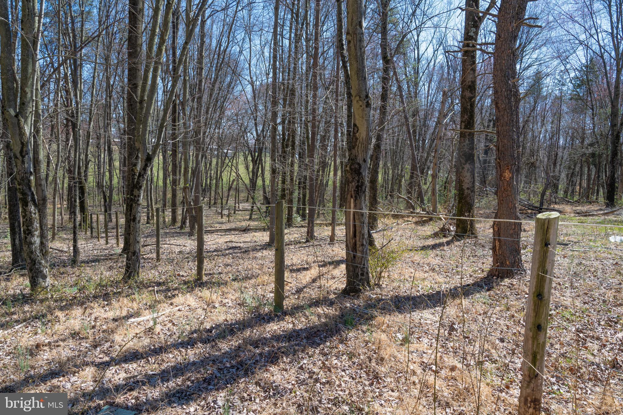 19601 Darnestown Road Beallsville, MD 20839 - Photo 27 of 119 a backyard of a house with lots of green space