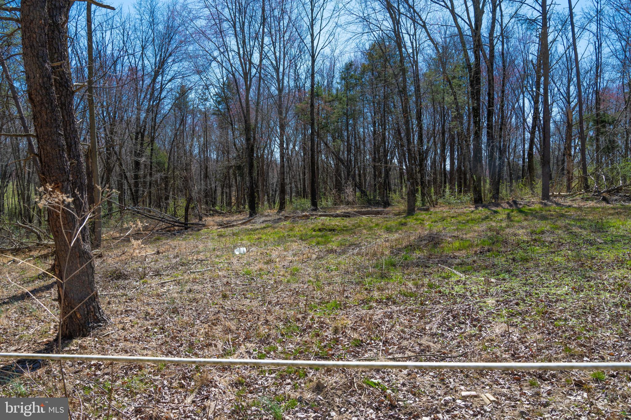 19601 Darnestown Road Beallsville, MD 20839 - Photo 28 of 119