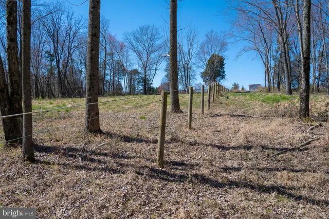 a view of outdoor space and green space