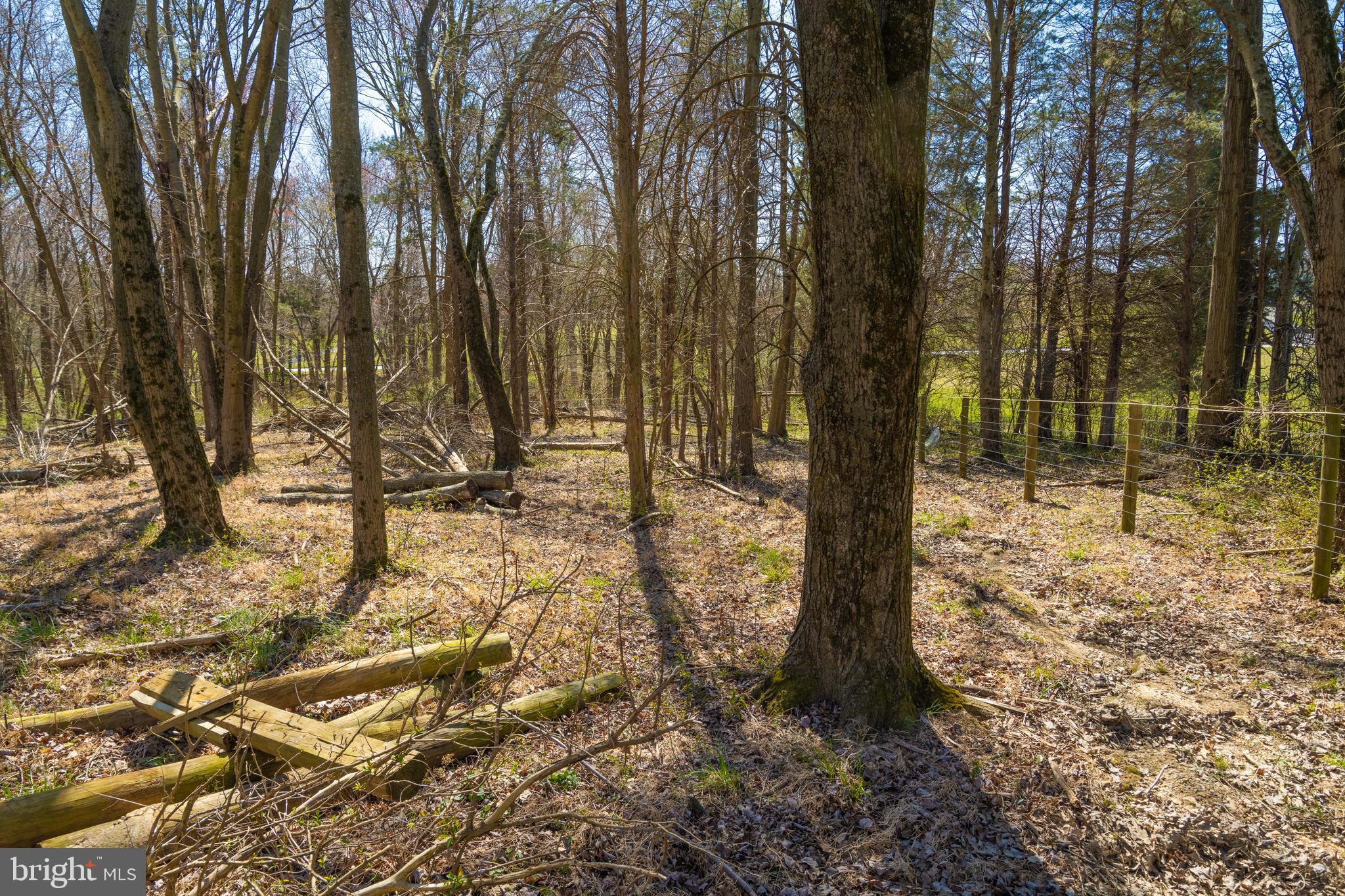 19601 Darnestown Road Beallsville, MD 20839 - Photo 31 of 119 a view of outdoor space with trees