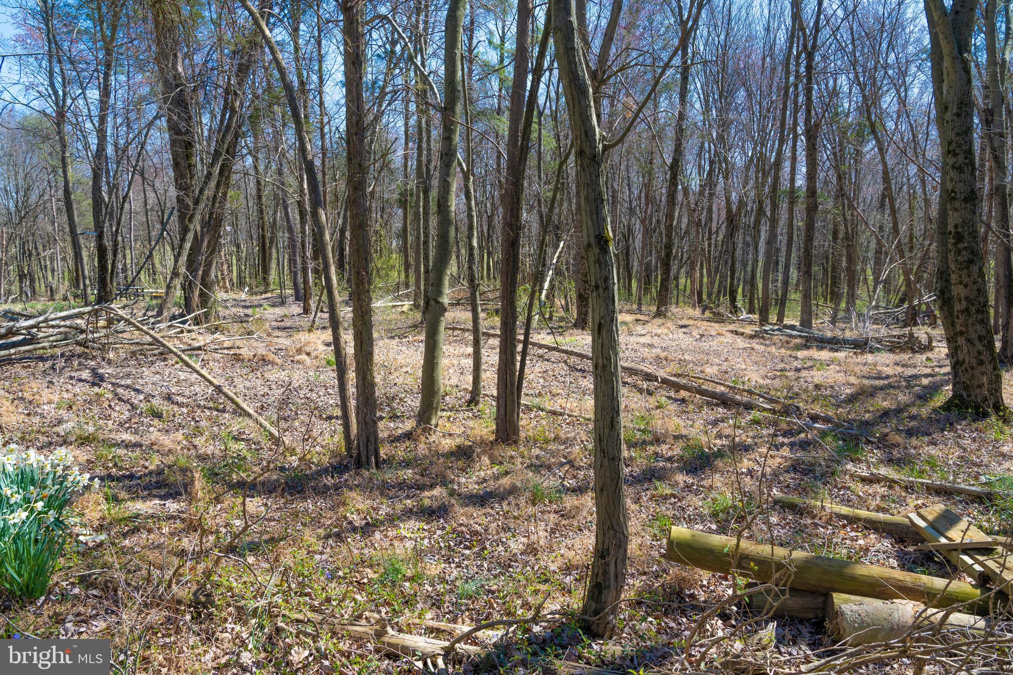 19601 Darnestown Road Beallsville, MD 20839 - Photo 32 of 119 a view of a backyard with large trees and wooden fence
