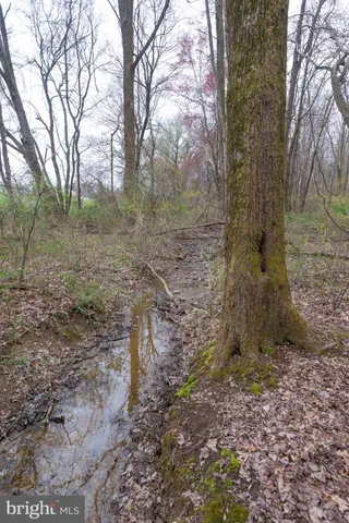 a view of backyard with green space