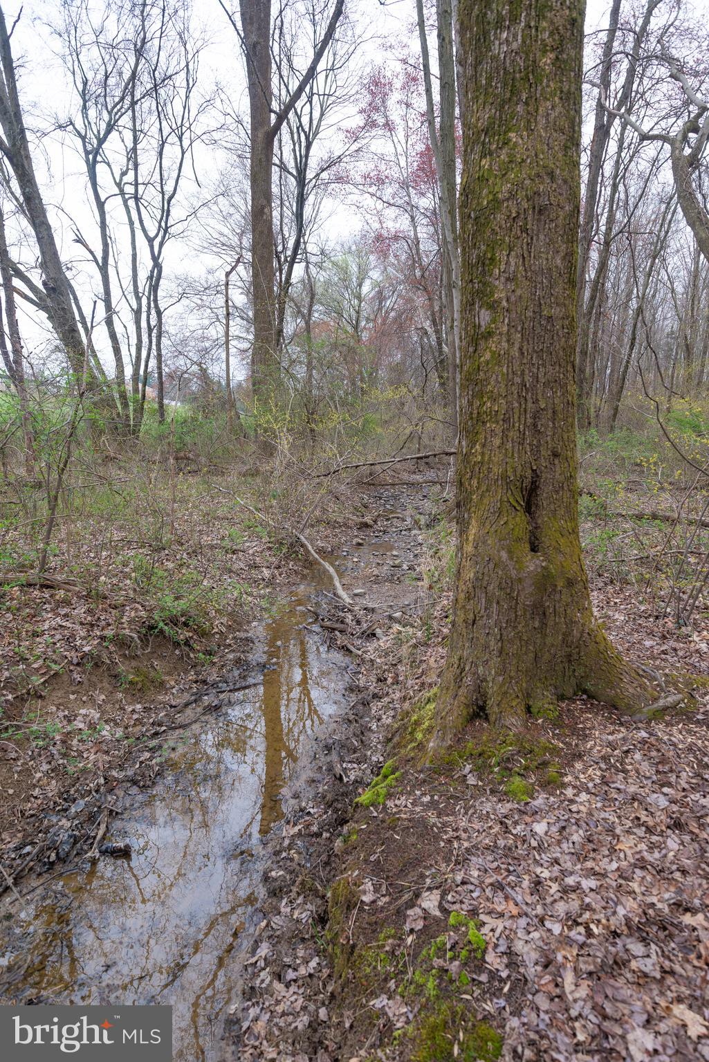 19601 Darnestown Road Beallsville, MD 20839 - Photo 34 of 119 a view of a yard with trees