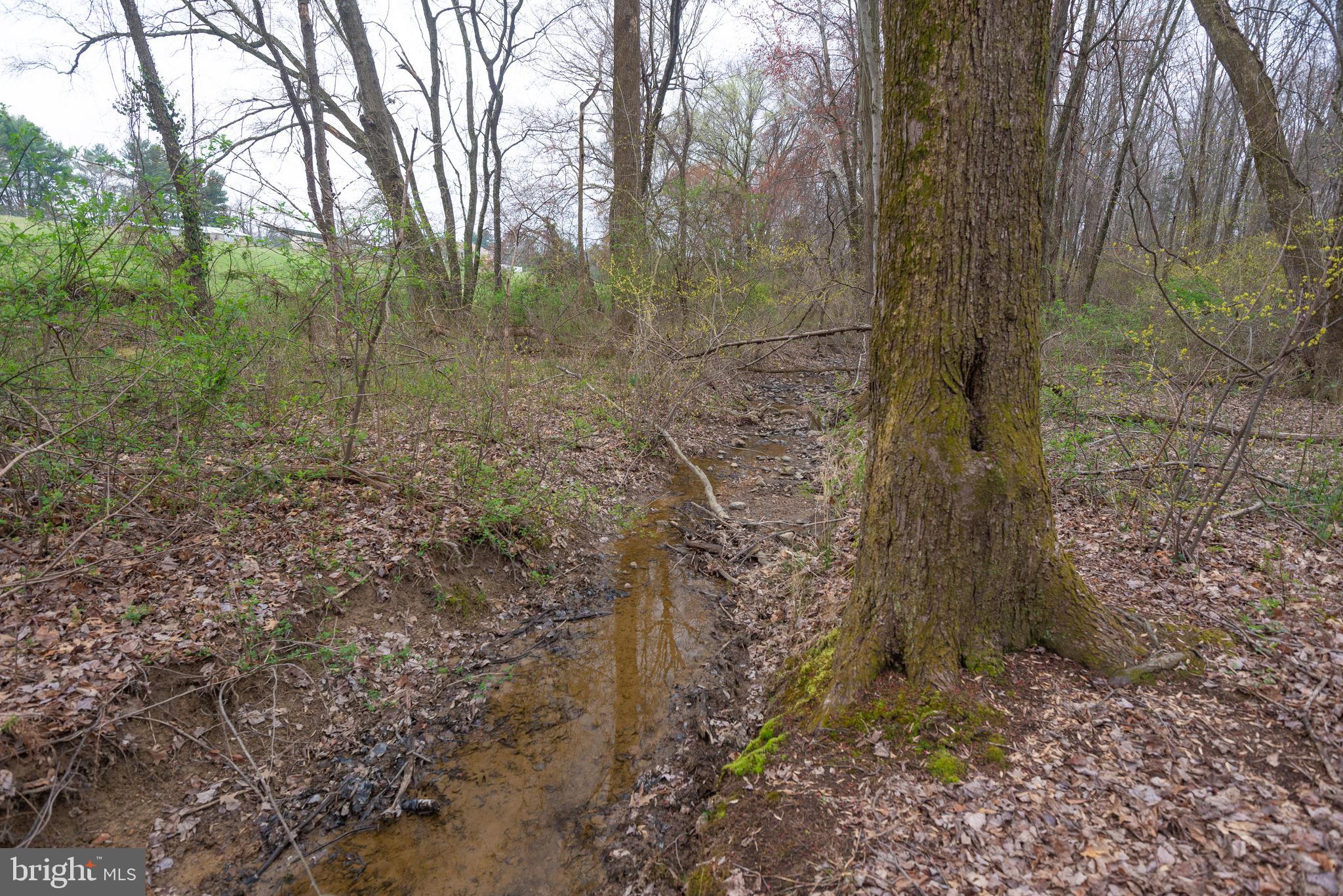 19601 Darnestown Road Beallsville, MD 20839 - Photo 35 of 119