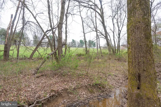 a view of outdoor space with trees