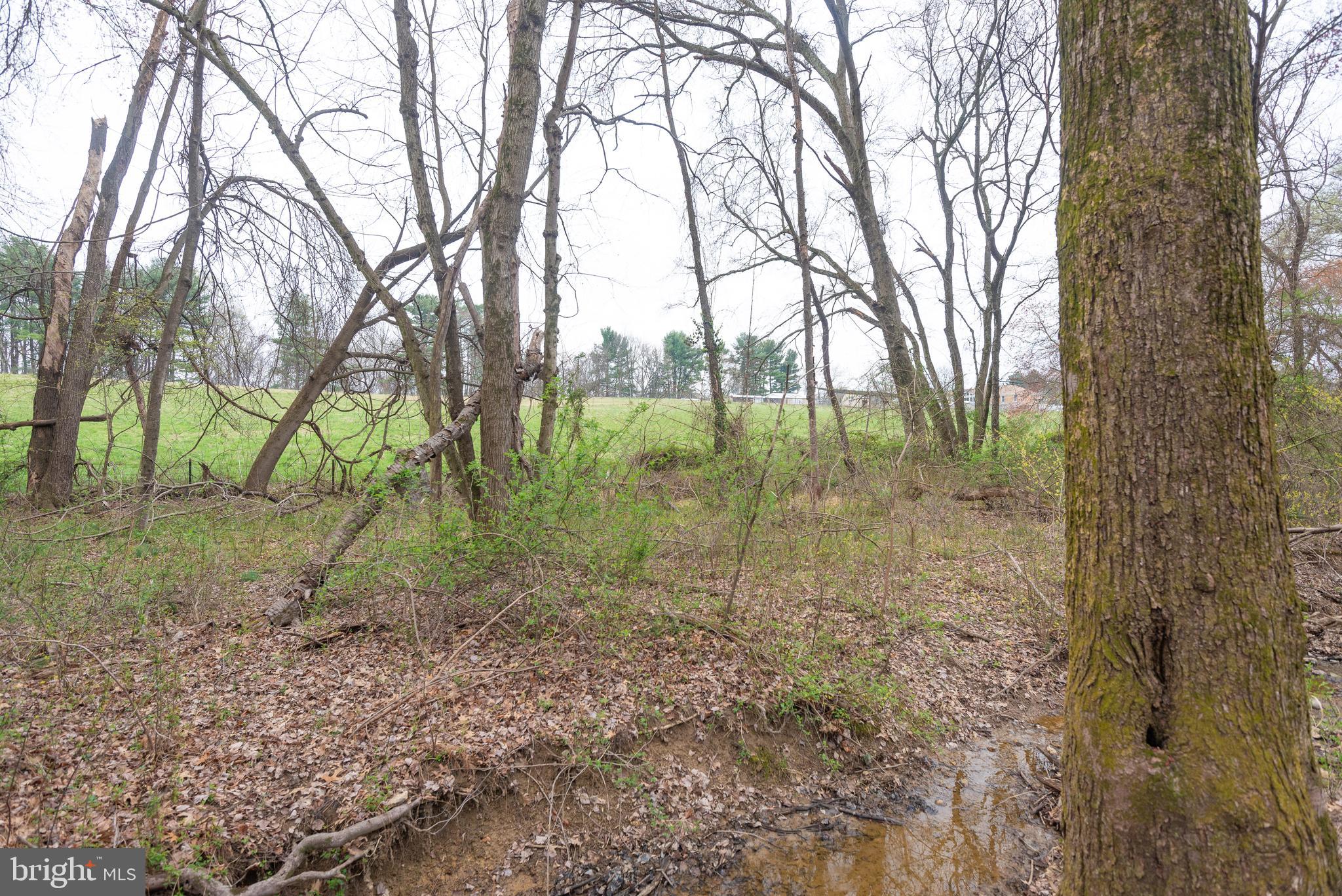 19601 Darnestown Road Beallsville, MD 20839 - Photo 36 of 119