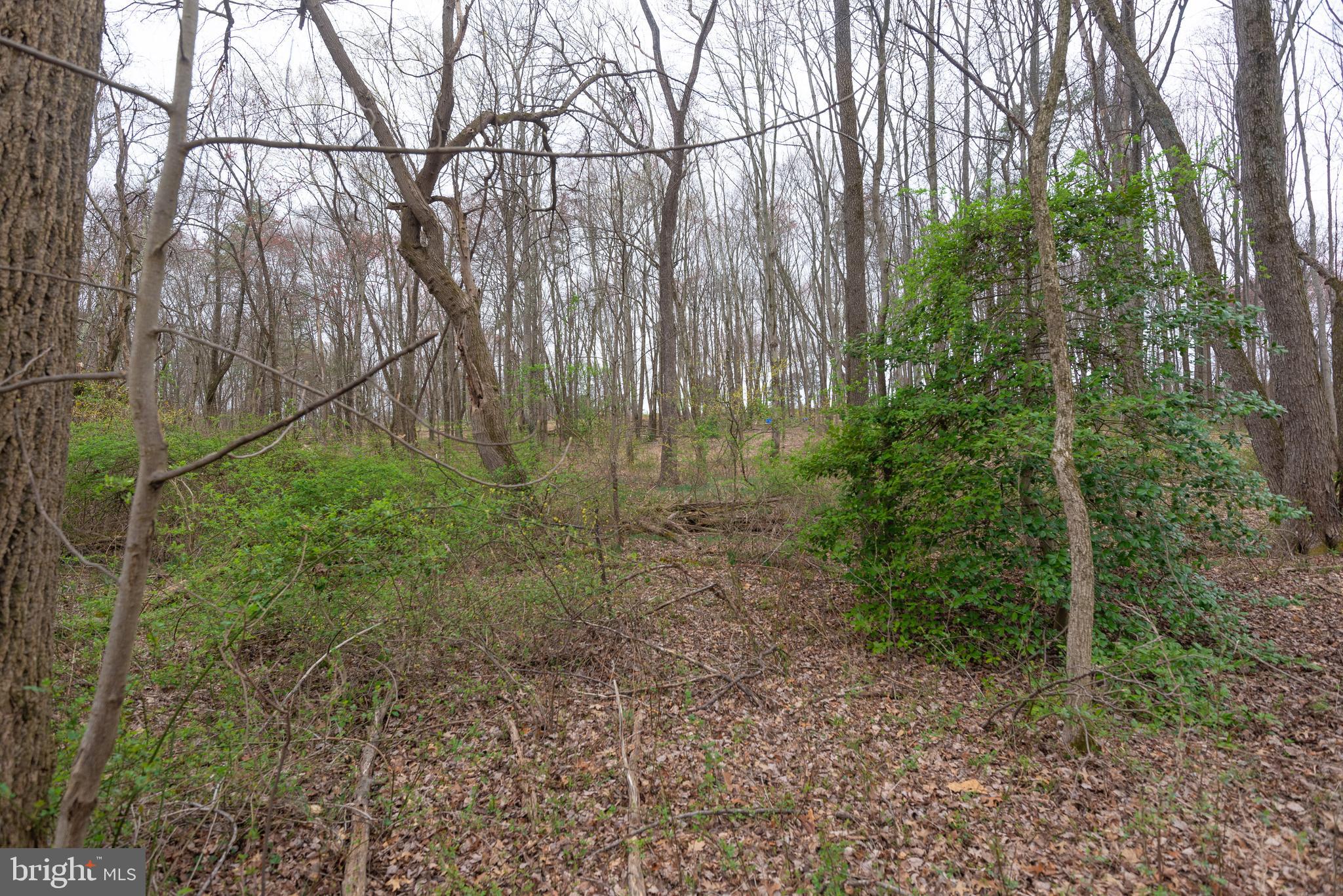 19601 Darnestown Road Beallsville, MD 20839 - Photo 37 of 119