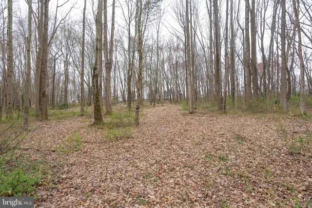 a view of outdoor space with lots of trees