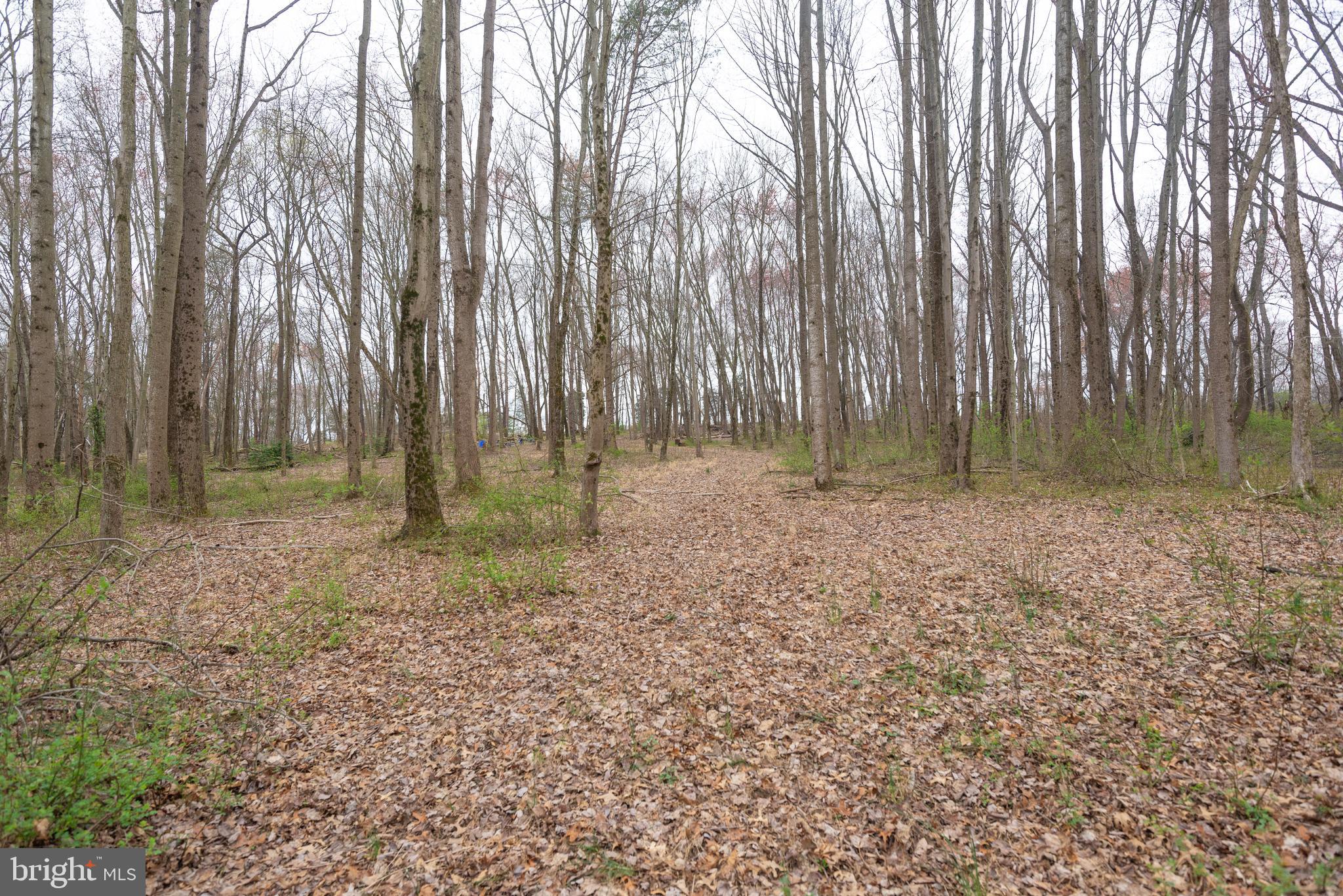 19601 Darnestown Road Beallsville, MD 20839 - Photo 38 of 119