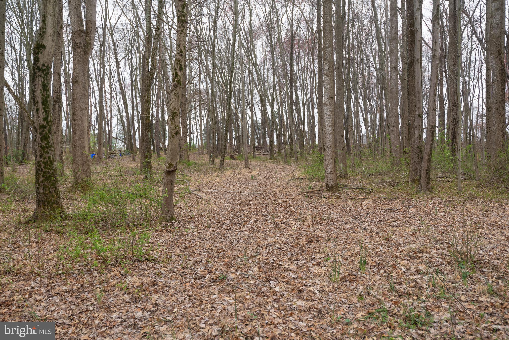 19601 Darnestown Road Beallsville, MD 20839 - Photo 39 of 119