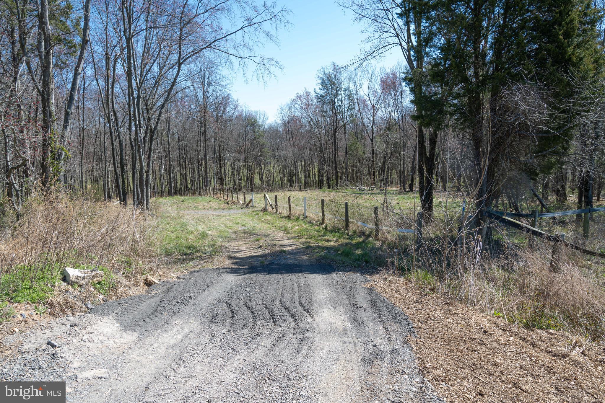 19601 Darnestown Road Beallsville, MD 20839 - Photo 4 of 119 a view of outdoor space with trees