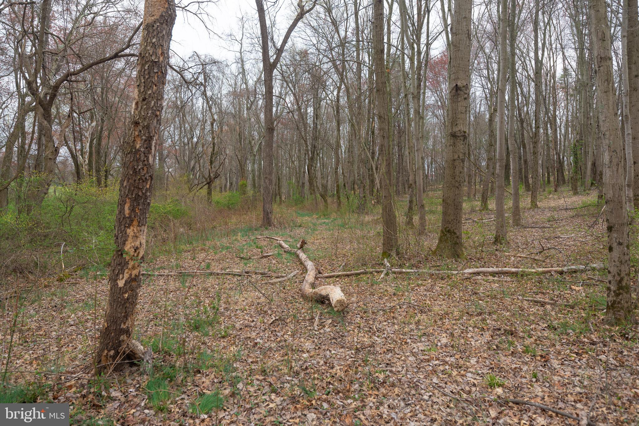 19601 Darnestown Road Beallsville, MD 20839 - Photo 41 of 119 a backyard of a house with lots of green space