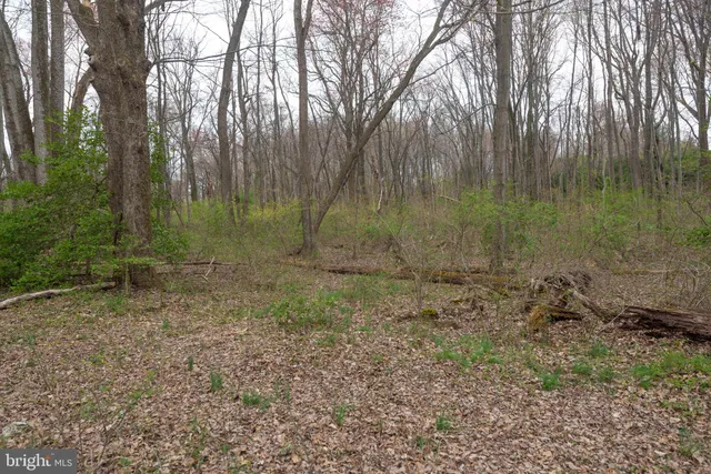 a view of a field with an outdoor space