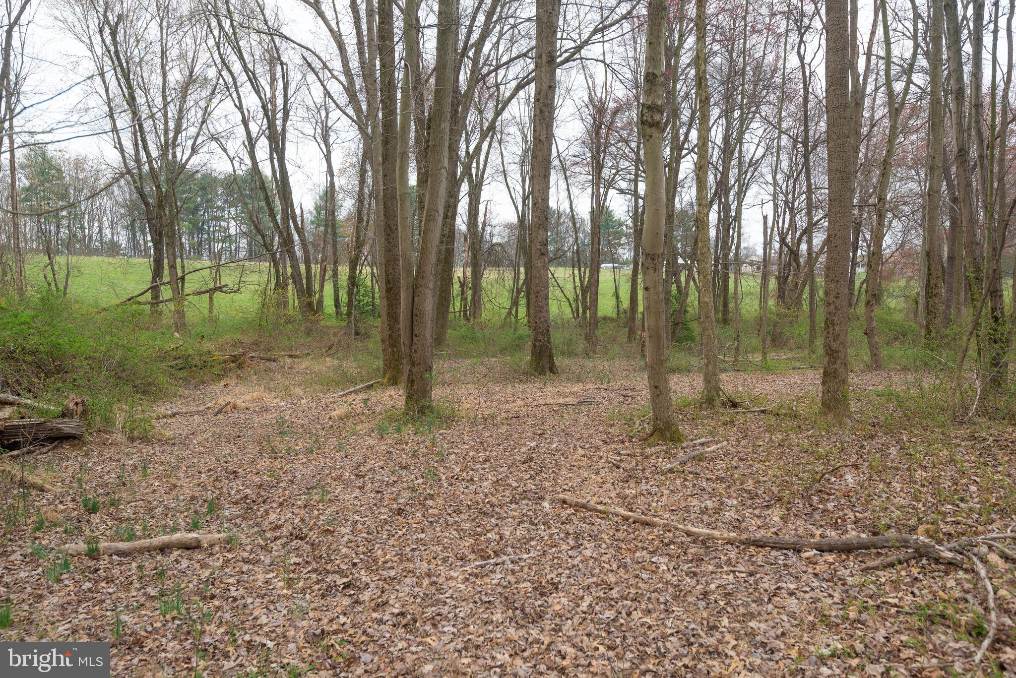19601 Darnestown Road Beallsville, MD 20839 - Photo 43 of 119 a backyard of a house with lots of green space