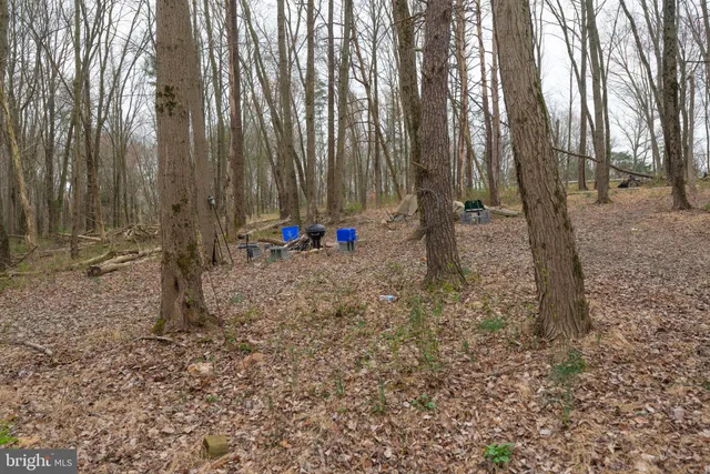 a view of a bathtub in a yard next to a yard